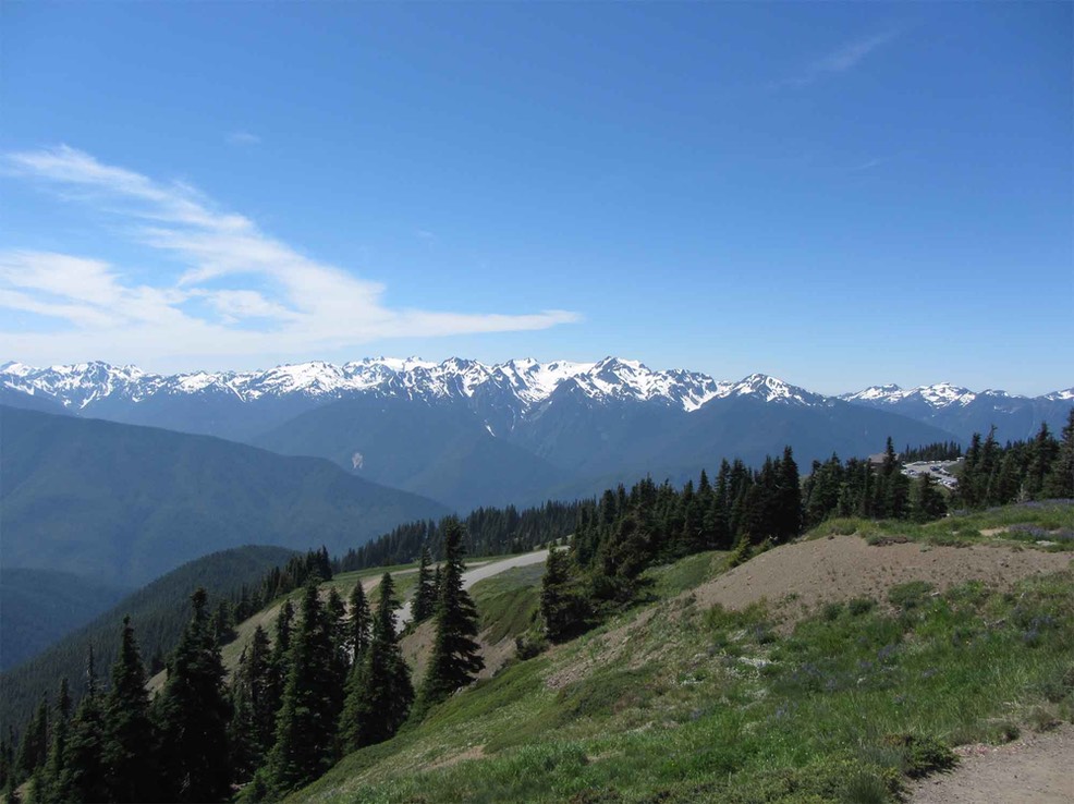 Hurricane Ridge in Winter - Olympic National Park (U.S. National Park  Service)