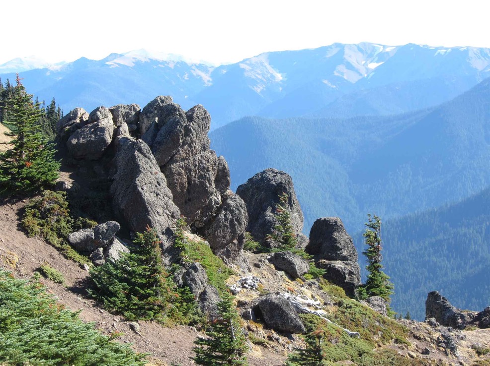 Hurricane Ridge Klahane Ridge Visit Olympic National Park